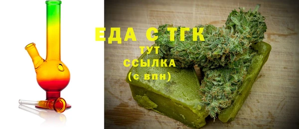 spice Богородицк