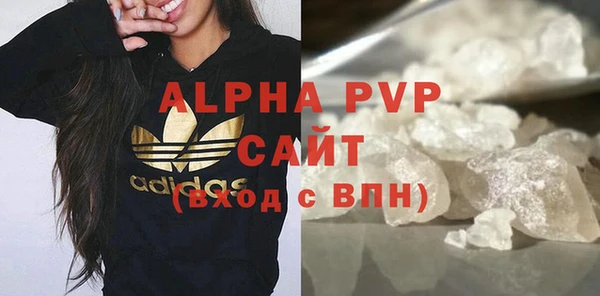стафф Арсеньев