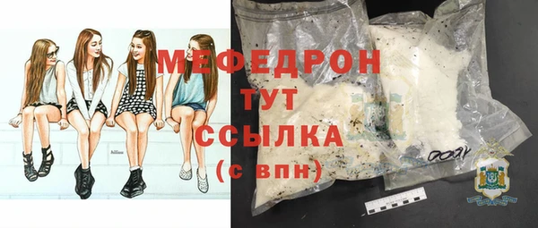 индика Аркадак